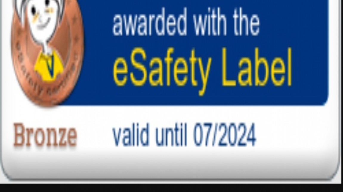 e-Safety Label Bronz Etiketimiz